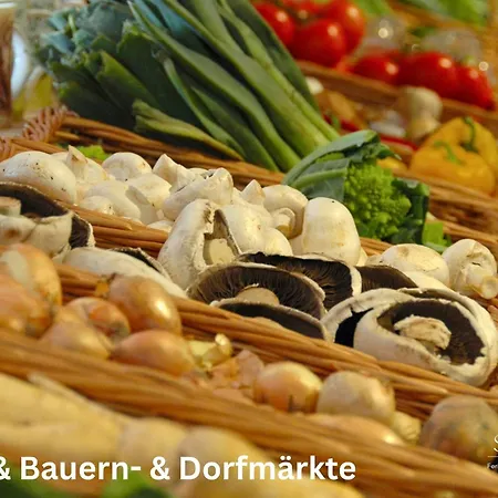 Apartmán Haus Hesse 